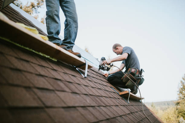 Best Storm Damage Roof Repair  in Hartford, AL